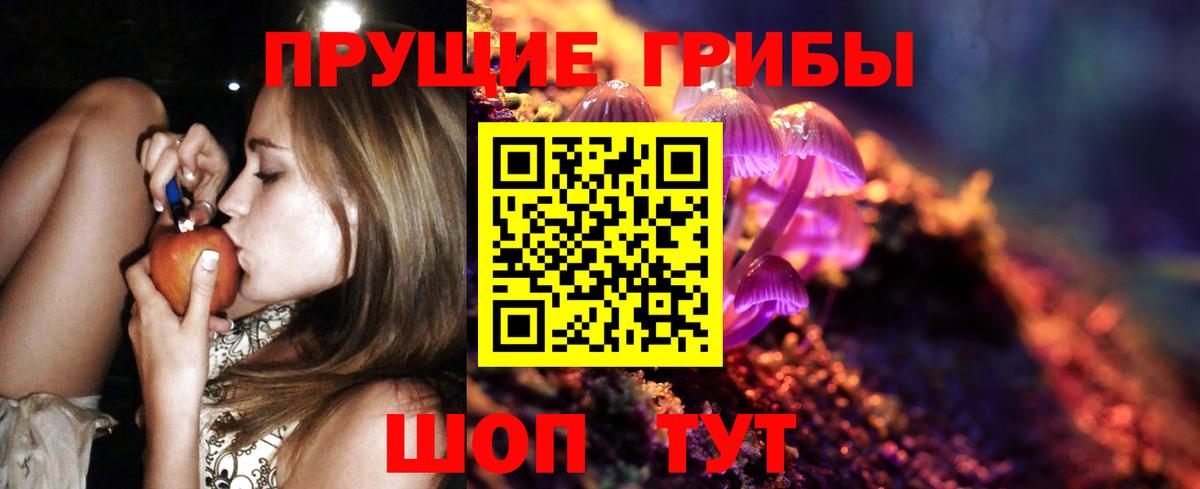 Псилоцибиновые грибы MAGIC MUSHROOMS  Вход с VPN  Дятьково 